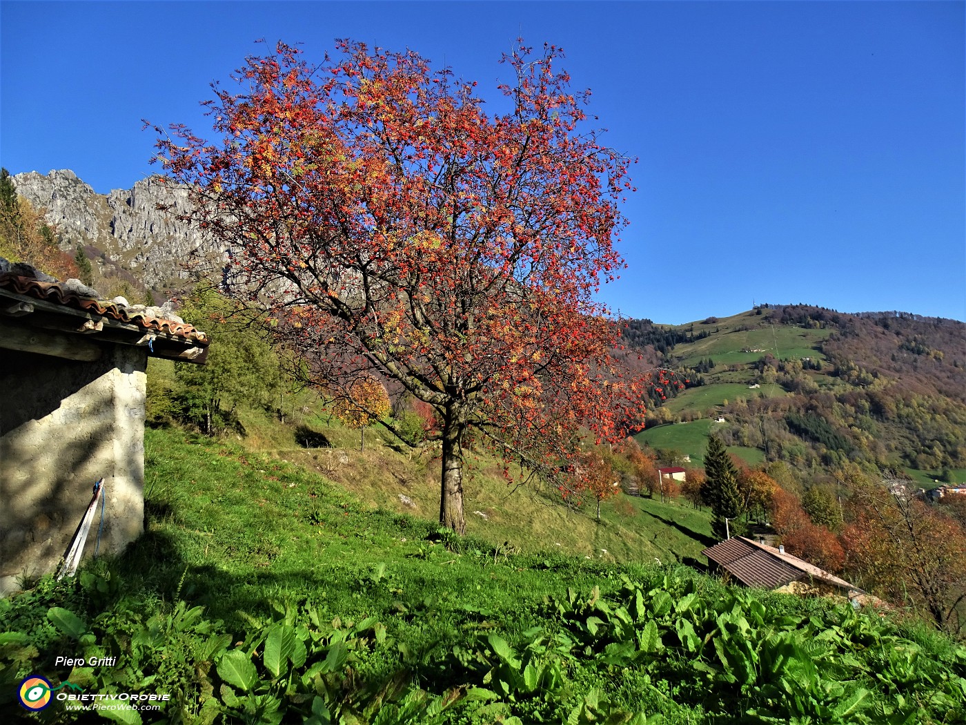 07 Vista sul percorso di salita alla Baita Campo (1442 m) .JPG